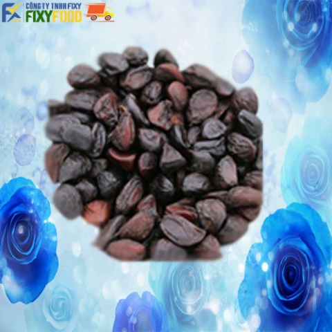 Magnolia Balansae Seeds